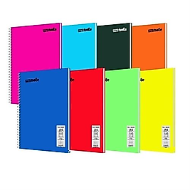 FLEX NEON DEFTER A4 PP KAPAK SPİRALLİ 120 YP ÇİZGİLİ 6 LI MFXNE-A4120-Ç